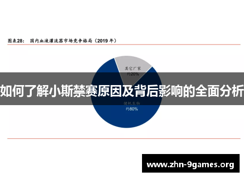 如何了解小斯禁赛原因及背后影响的全面分析
